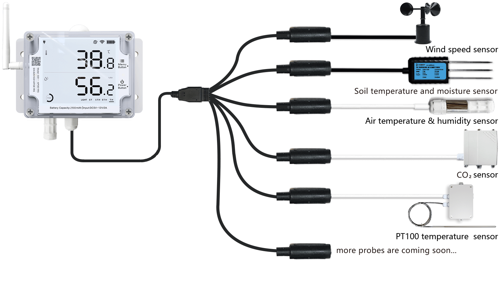 temperature sensor with external probes