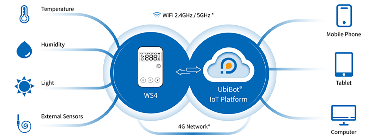ws4-xs-img6